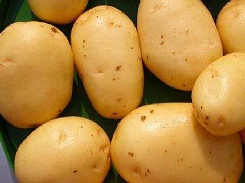 1 lb. $10.95 (Sorry our potatoes, while grown using all organic methods, are not certified organic at this time.