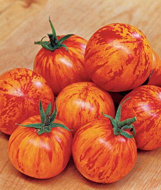 Red Brandywine An Amish heirloom that dates back to 1885, and is generally considered to be the world's best-flavored tomato.