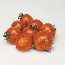 Perfect for salads, sauces or pickles Saucey This heavy producer easily out performs other tomatoes of its type in earliness and yield.
