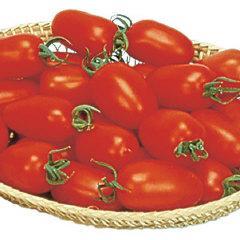 fruits have excellent, "real tomato" flavor. Plants are vigorous.