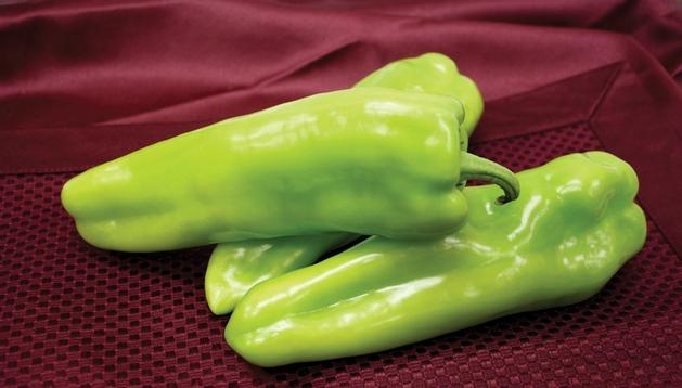 Pepper Grenada Large to extra-large cubanelle pepper boasts smooth fruit with a shallow shoulder cavity Well-adapted to the
