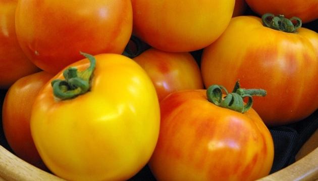Tomato Tye-Dye F 1 Interior is splashed with marbled yellow-orange and red Round, 3-inch fruit of 7 ounces Staking required for plant