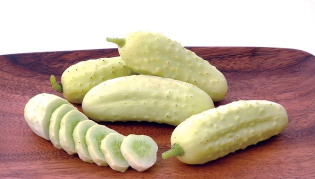 Cucumber Salt and Pepper First white-skinned pickling cucumber with powdery mildew resistance Black