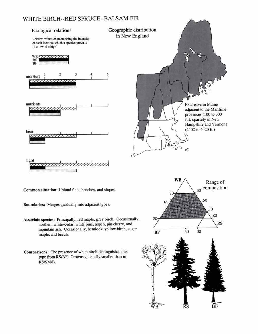 WHITE BIRCH--RED SPRUCE--BALSAM FIR Ecological relations Relative values cbractcrizing the intensity of each factor at which a species prevalls (1 =low, 5 =high) Geographic distribution in New