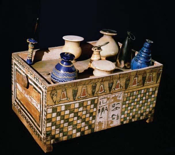 SOCIAL HISTORY COSMETICS Ancient Egyptians used cosmetics for both work and play. They protected field workers from sun and heat and were used to enhance beauty.