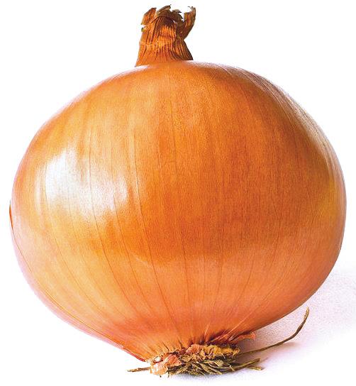 ONION Onions are yellow, red or white. They have firm flesh and dry, crackly outer skins. Avoid any soft spots or sprouts. Onions may be eaten raw or cooked.
