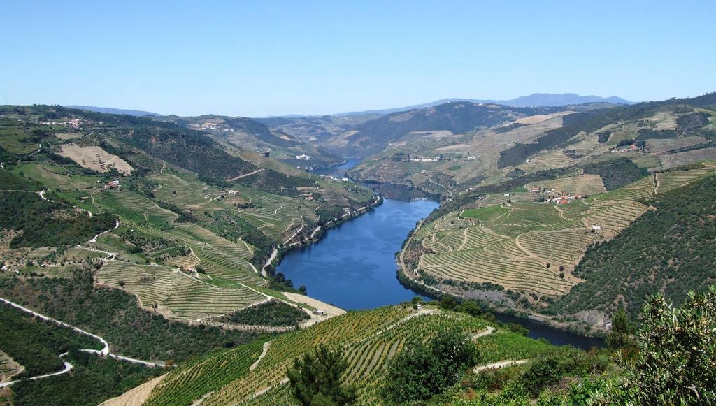 Douro Vineyards Hike FOODIES HISTORICAL SUMMER WINE LOVERS