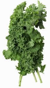Did You Know? Kale is so cold resistant, it can resist frost and snowfall!