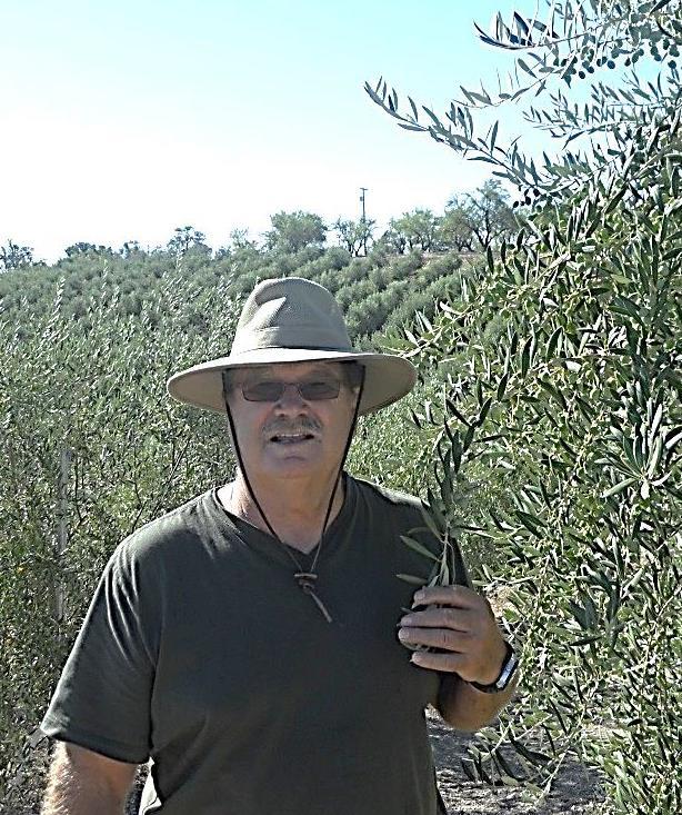 Jerry Shaffer (Fandango Olive Oil) Vice President for Programs and Education Orchard on Mustang Springs West Paso Robles