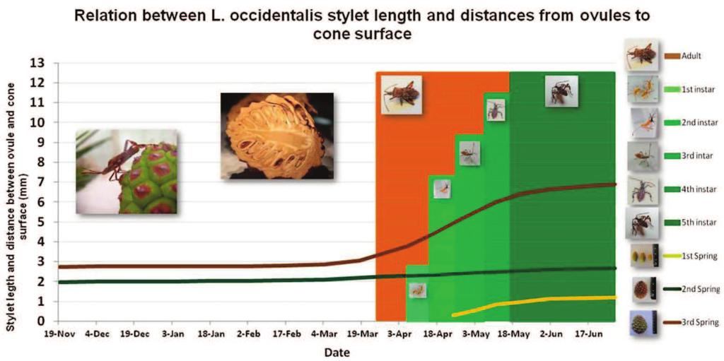 3. Relation between insect feeding and host damages The relation between L.