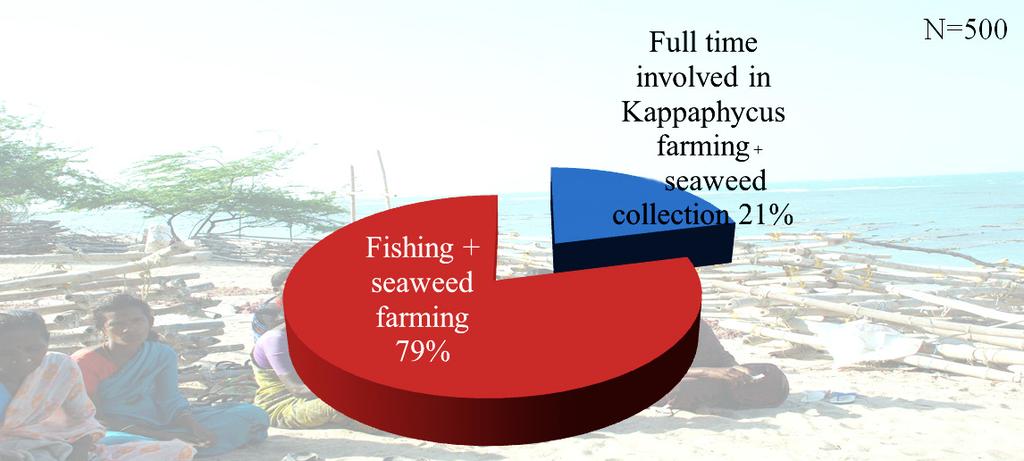 Economic analysis of farming and wild collection of seaweeds 98 Table 5. Distribution of seaweed farmers according to their marketing behaviour Marketing behaviour Category Total (n = 500) No.