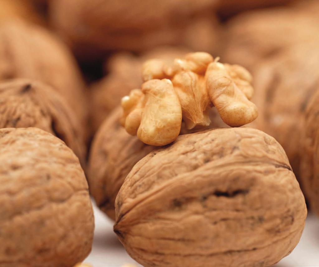 II The purpose of the standard is to define the quality requirements of inshell walnuts at the export control stage, after preparation and packaging.