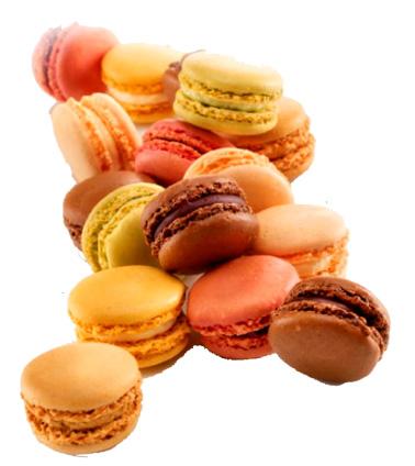 9 Pasquier Macaroons Imported from France PF105 Macaroons Macaroons Assorted Coffee, Chocolate, Lemon,