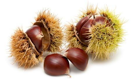 25 each 1154 Chestnuts Whole Cooked Vaccuum