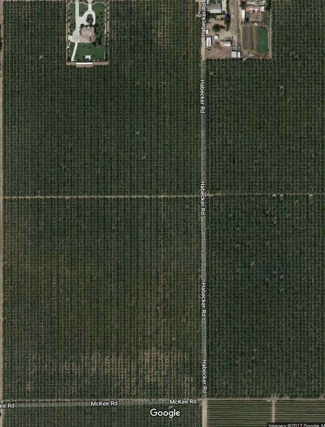 EXPERIMENTAL SITE Planted in 2011 in Arvin, CA with 50% Nonpareil, 25% Sonora, and 25% Monterey