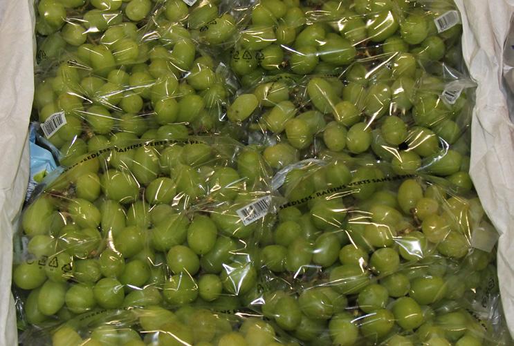 We are transitioning into new crop Mexican Green Seedless Grapes, with Perlettes available now and