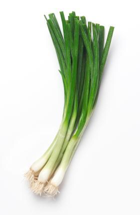 2.2.4. Scallions Scallions are a good choice for indoor gardening because they are very easy to plant. You don t even need seeds.