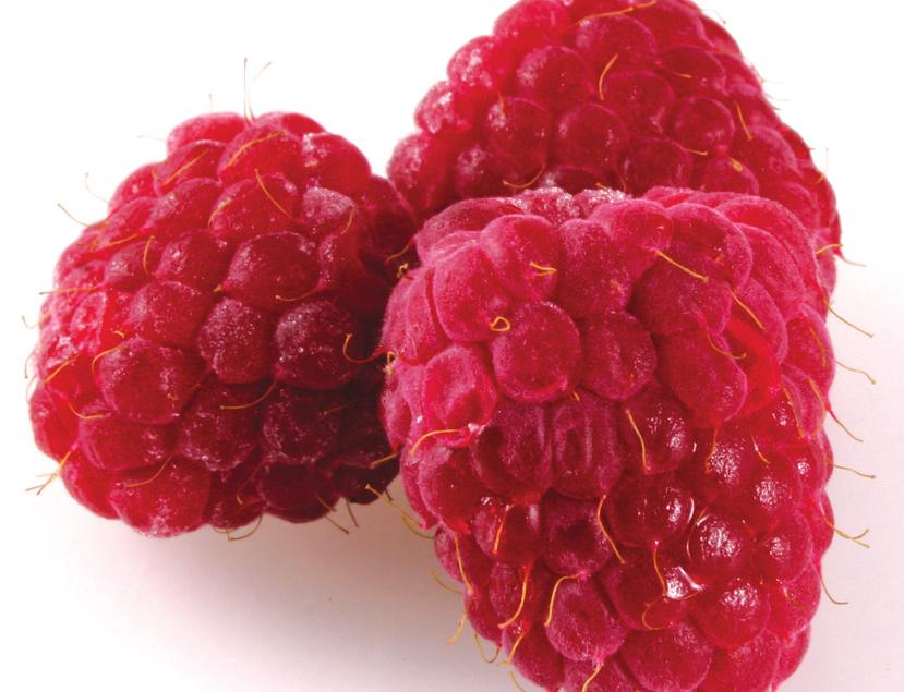 Wash, drain, and dry just before eating. Look for dry, firm, well-shaped, and deep red or golden raspberries.