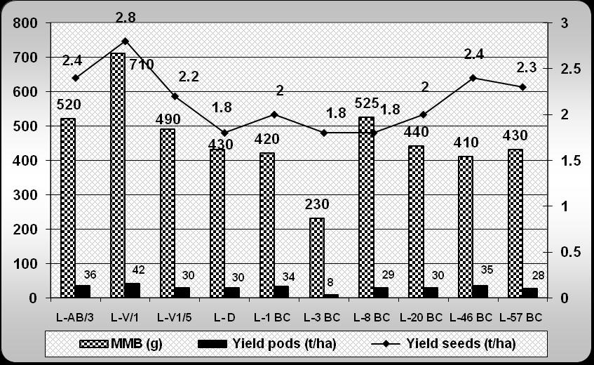 Fig 3 MMB, Yield (tones of pods and seeds/ha) Conclusions Solving the problem of creating new varieties is possible only on knowledge and use of complex mechanisms of heredity.