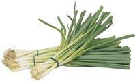 Cucumbers or Bunch Green Onions Starting at: each $9 /