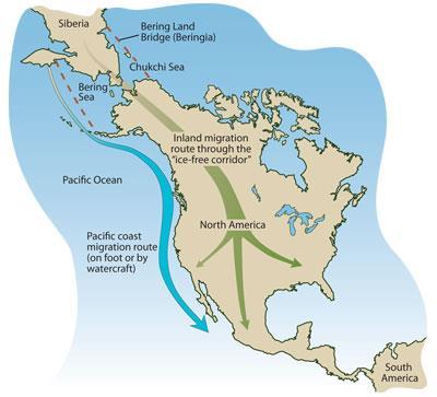 The Native American Experience The First Americans Migrants from Asia crossed Siberia (15,000-9000 years ago) Tuscarora (NC) Second migration by water