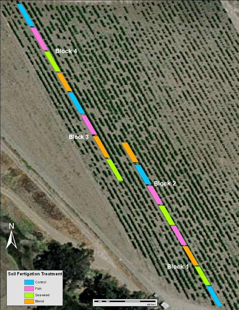 Figure 2.1. Map of the fertigation experiment conducted using Syrah vines on Schwarzmann rootstock at the Trestle Vineyard, California Polytechnic State University, San Luis Obispo, CA.