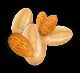 first of it s kind, ALMOND INSPIRATION features the creamy