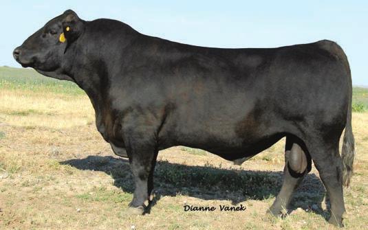 4-0.65-0.01-0.084 0.64 111 66 Lot 1 is a Blazer son that has a lot of thickness and length.