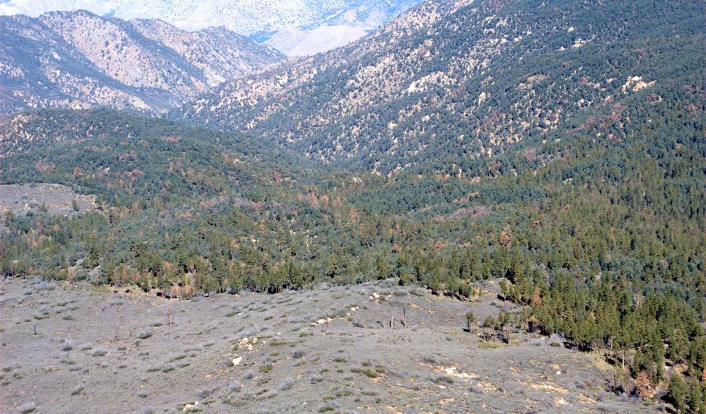the Scodie Mountains, Sequoia NF. Figure 9.