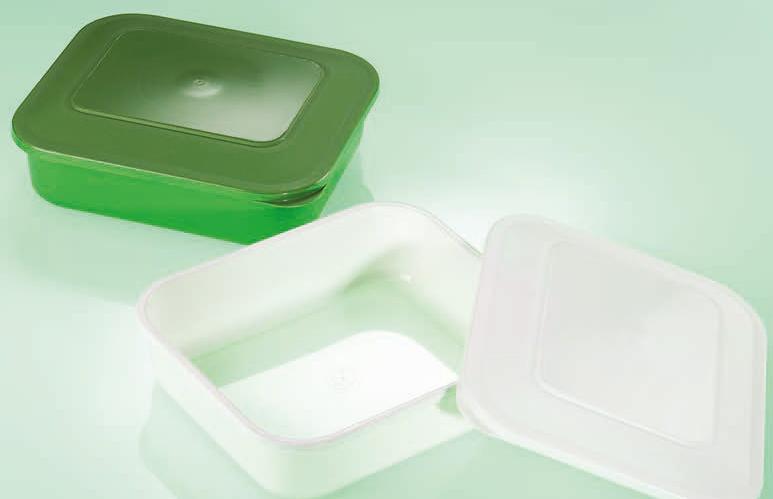 Food containers with lids Injection molded food