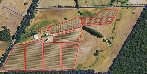 Vineyard location mapping Vineyards occur over diverse landscapes and large geographical areas.