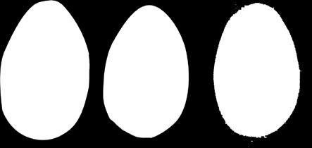 eggs. The digitally