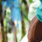 Fairtrade can: DELIVER A LIVING INCOME To create lasting