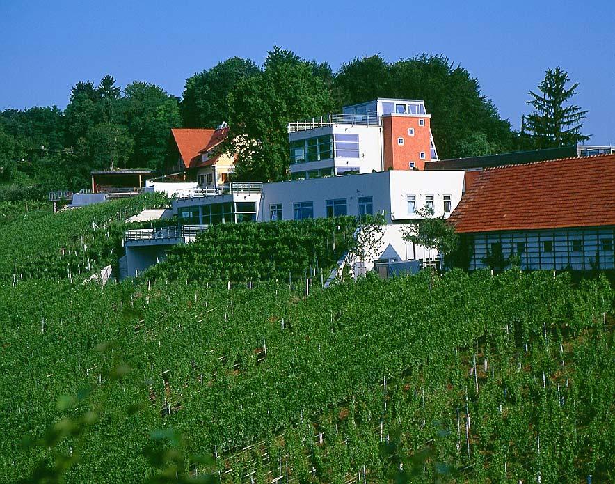 As our winery is located on a small mountain plateau above the single vineyard ZIEREGG in