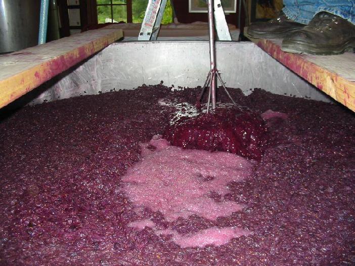 Winemaking Process Fermentation sugar and acids that naturally react with wild yeasts Vineyard adding their own yeasts fermentation can take