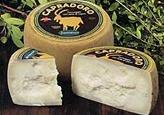 Caciotta (named for cacio, the alternate Italian word for cheese) is simply a type of smaller-sized Italian cheese.
