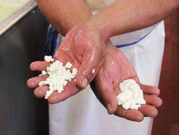 The Curds Develop Vella Cheese is a hands-on cheese factory Here you can see the difference