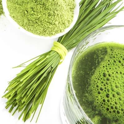 WHEATGRASS High in: Vitamins A and C, amino acids, chlorophyll Tastes like: Freshly cut grass Try it in: Pineapple wheatgrass sorbet Wheatgrass helps your body build red blood cells, which carry