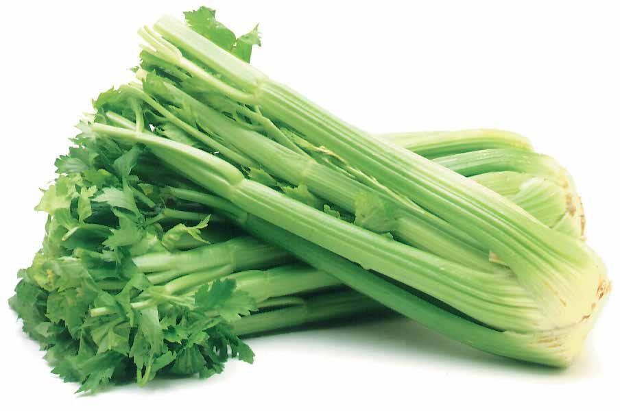 California Sleeved Celery 9