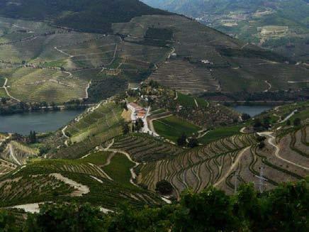 This new attention is for the high-quality, mostly red wines being produced by a handful of Douro wine estates.