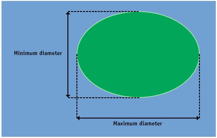 diameter of the fruit measured at the equatorial section must be 0.