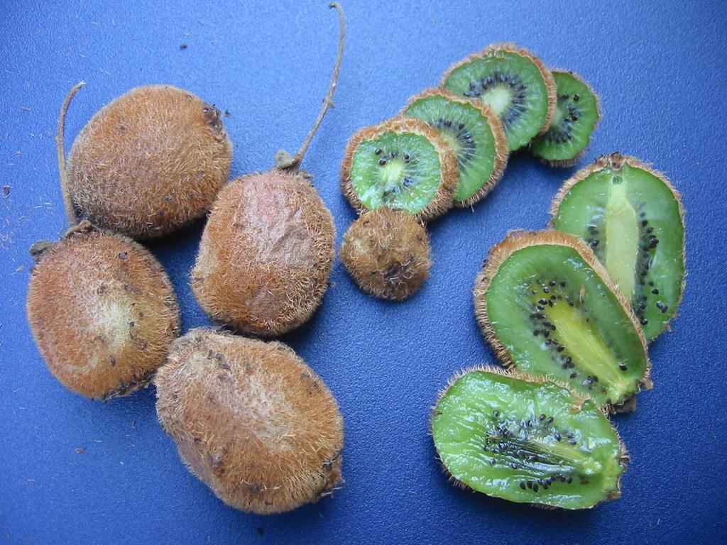 kiwifruits