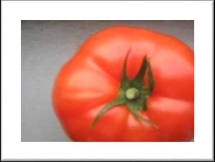 2-9 oz) Rebelski Rebelski tomato, previously numbered DRW7749 is a beefsteak tomato variety. Average fruit size 220 grams (7.8oz).