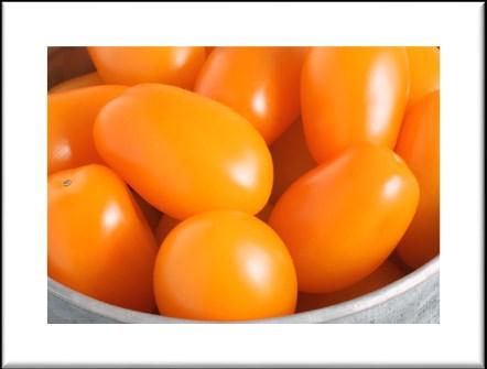 SV0948TS SV0948TS is a yellow cherry tomato hybrid with good taste, good plant habit and a nice bright color. It is suitable for harvest separately or as a spray.