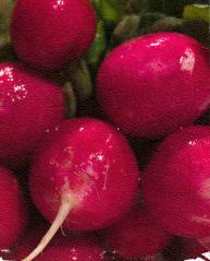 Radish There are many different types of radish including short round red ones and long white ones which grow to about 15cms Calcium, Iron, Magnesium, Phosphorous, Potassium, Sodium, Zinc, Vitamin C,