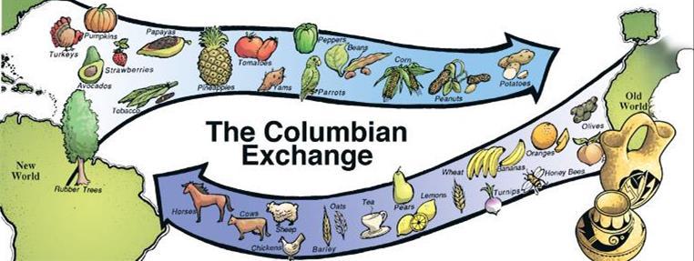 The Columbian Exchange: Dramatically widespread exchange of animals, plants, culture, human populations