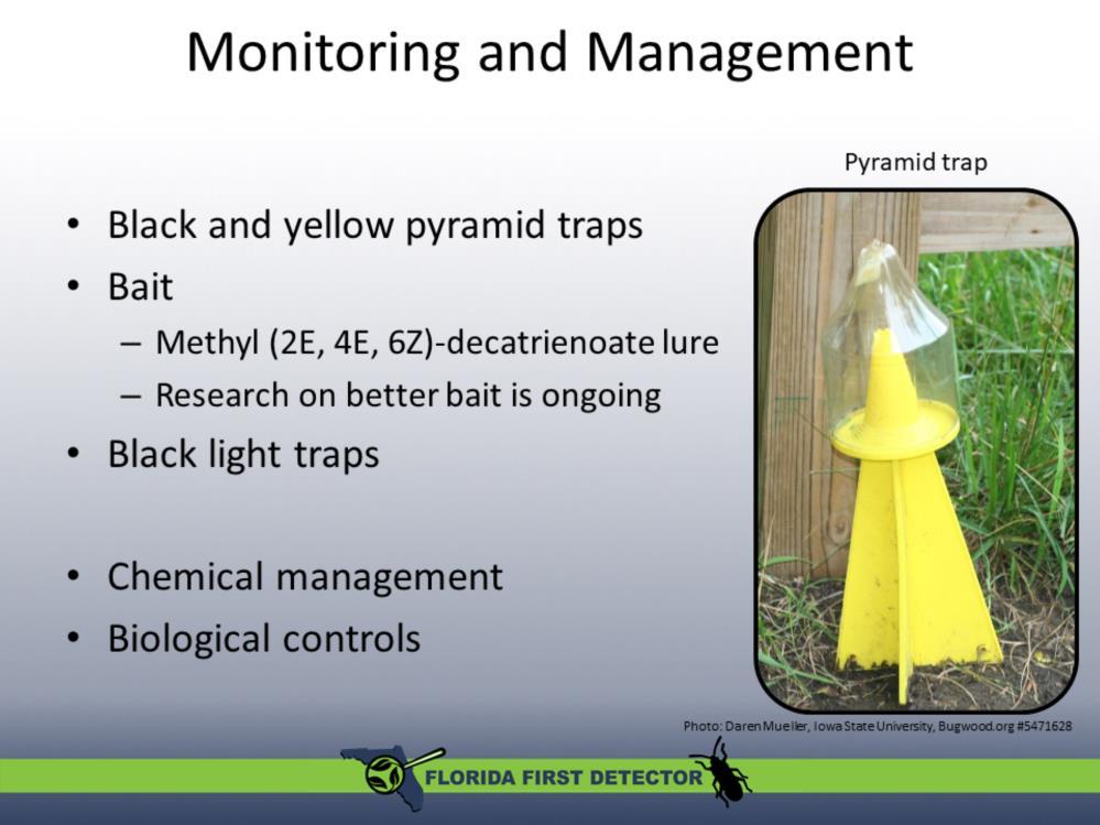 Black or yellow pyramid-shaped traps baited Methyl (2E, 4E, 6Z)- decatrienoate and black light traps can be used for monitoring adults and nymphs of BMSB.