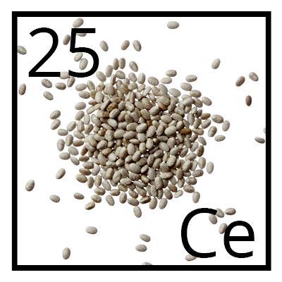 Chia Seeds This seed has been a staple in Mayan and Aztec diets for centuries. They are rich in omega-3 fatty acids and an excellent source of fiber, 10 grams in 2 tablespoons.