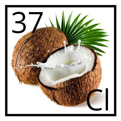 Coconut Milk Coconut milk is an excellent substitute for cow's milk because it is easy to digest.