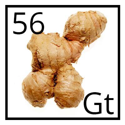 Ginger Ginger is commonly used to treat stomach issues. It helps settle conditions of morning sickness, motion sickness, gas, diarrhea, nausea caused by cancer treatment or surgery.
